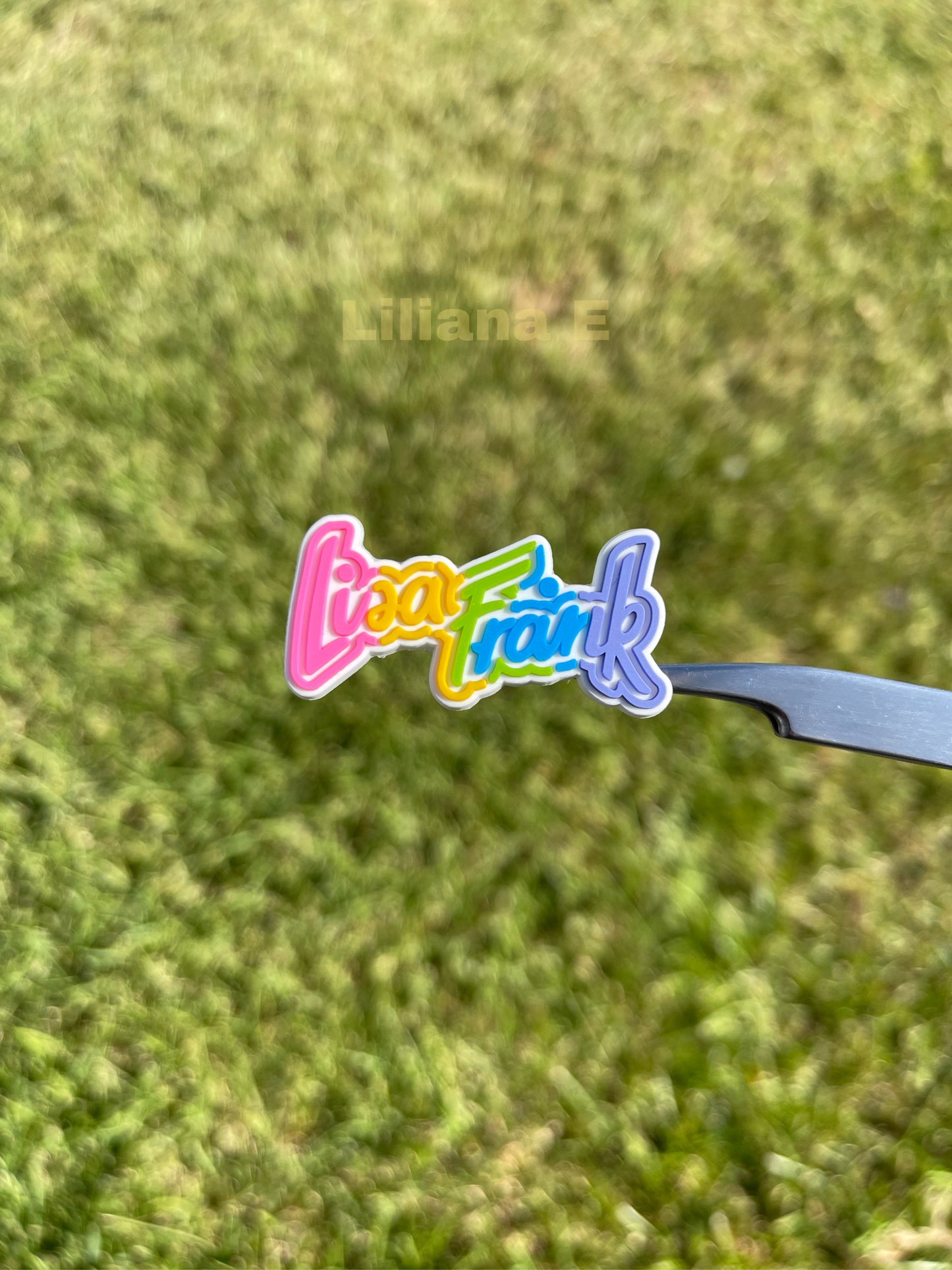 Lisa Frank Charm