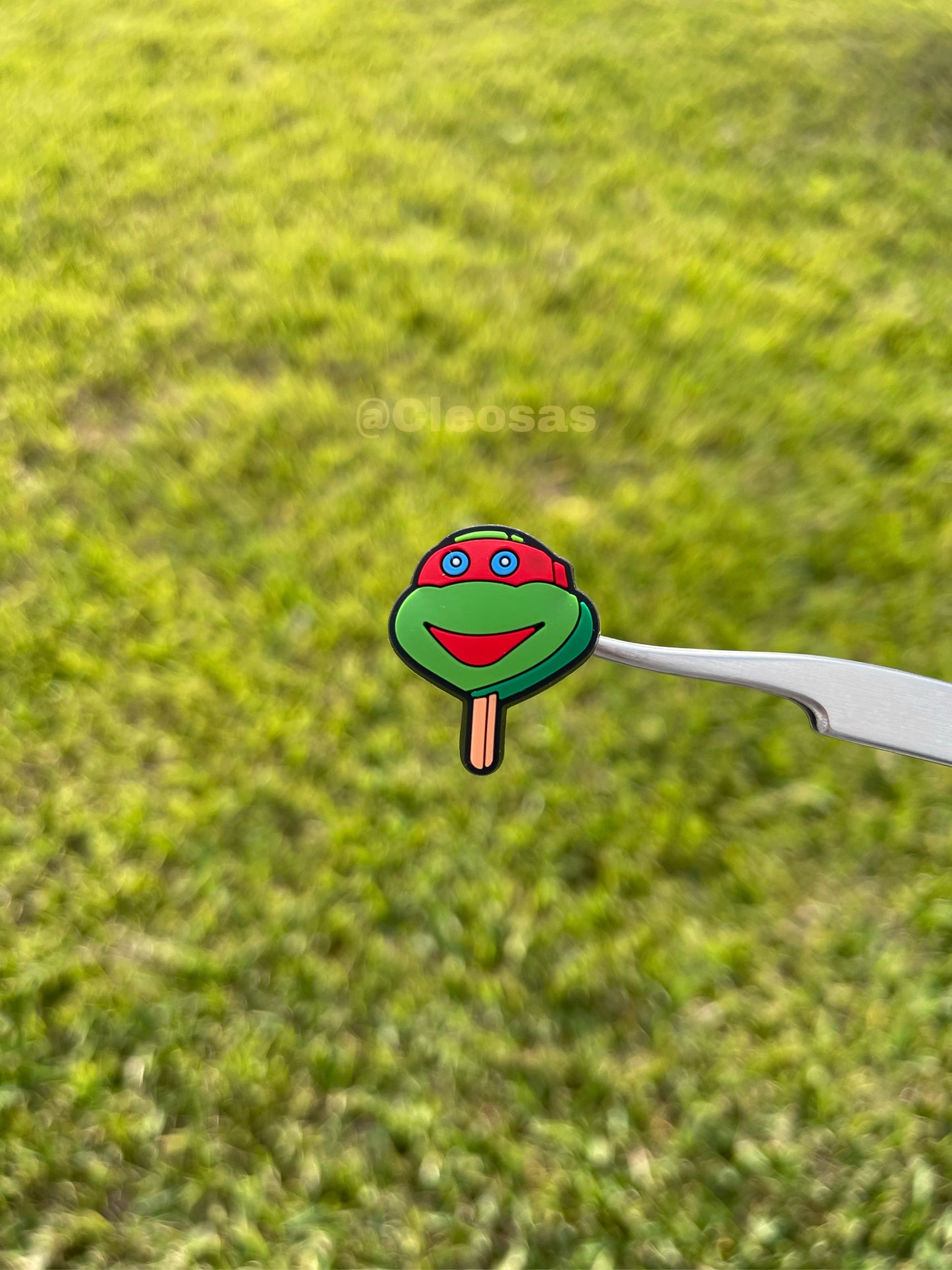 Ninja Turtles Paleta Charm