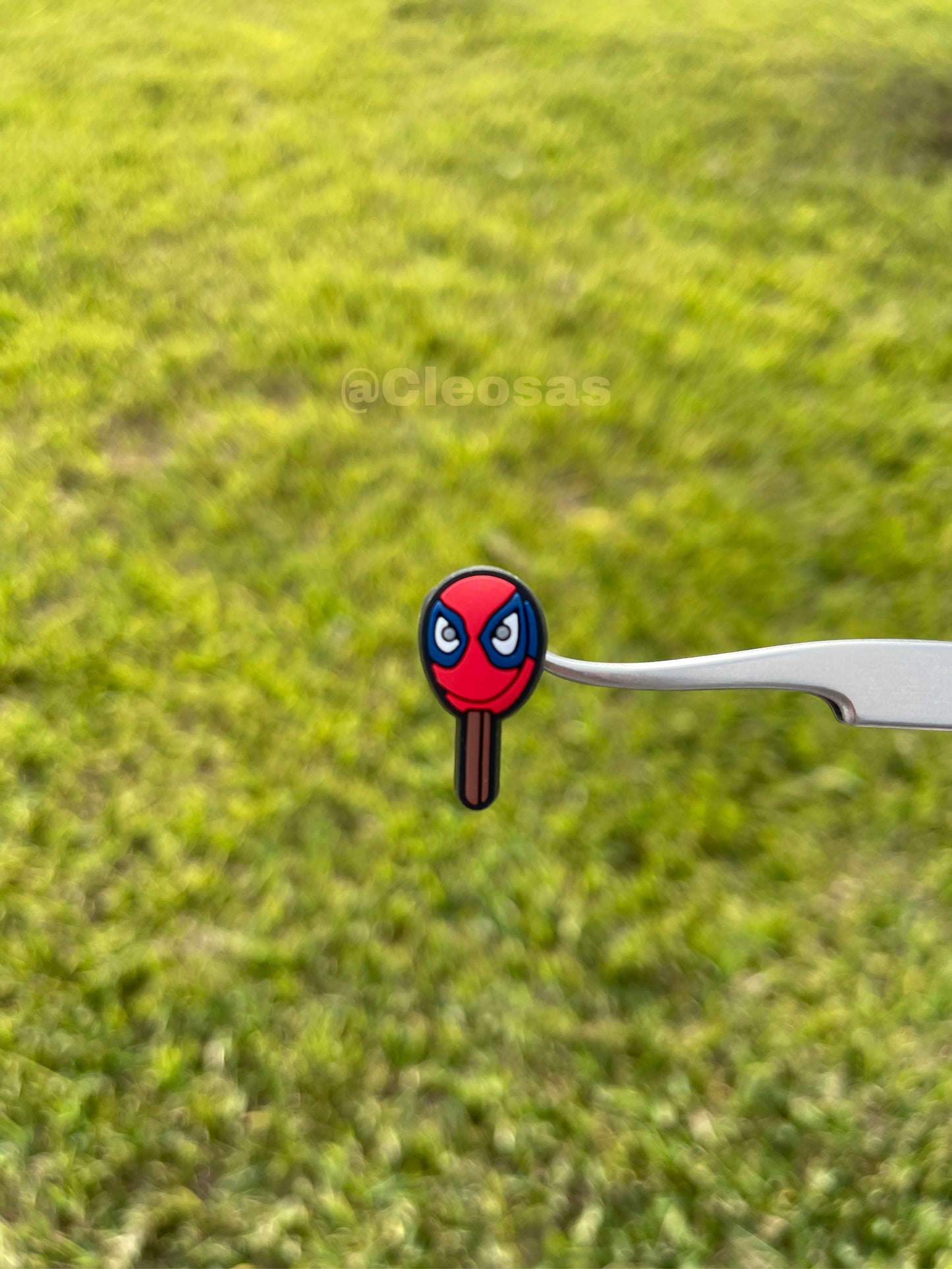 Spider-Man Paleta Charm